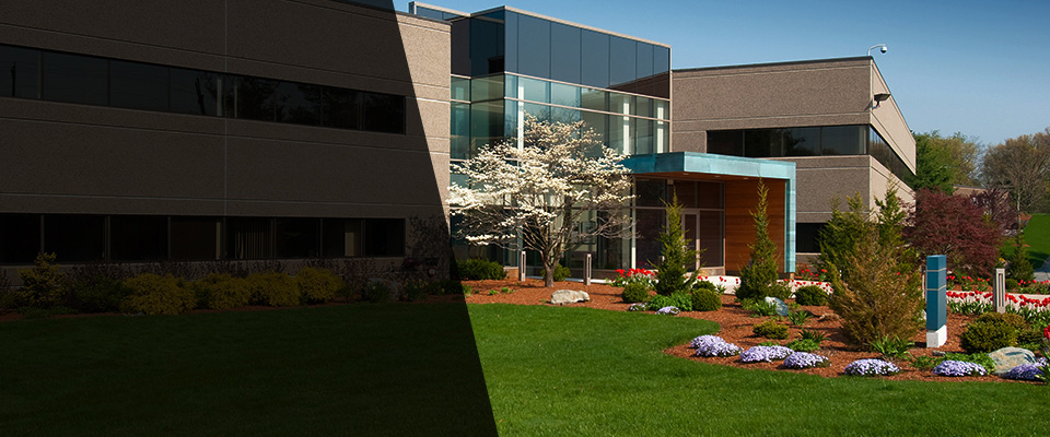 Port Townsend Landscapers