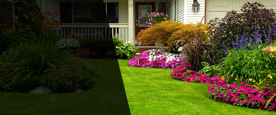 Port Townsend Landscapers
